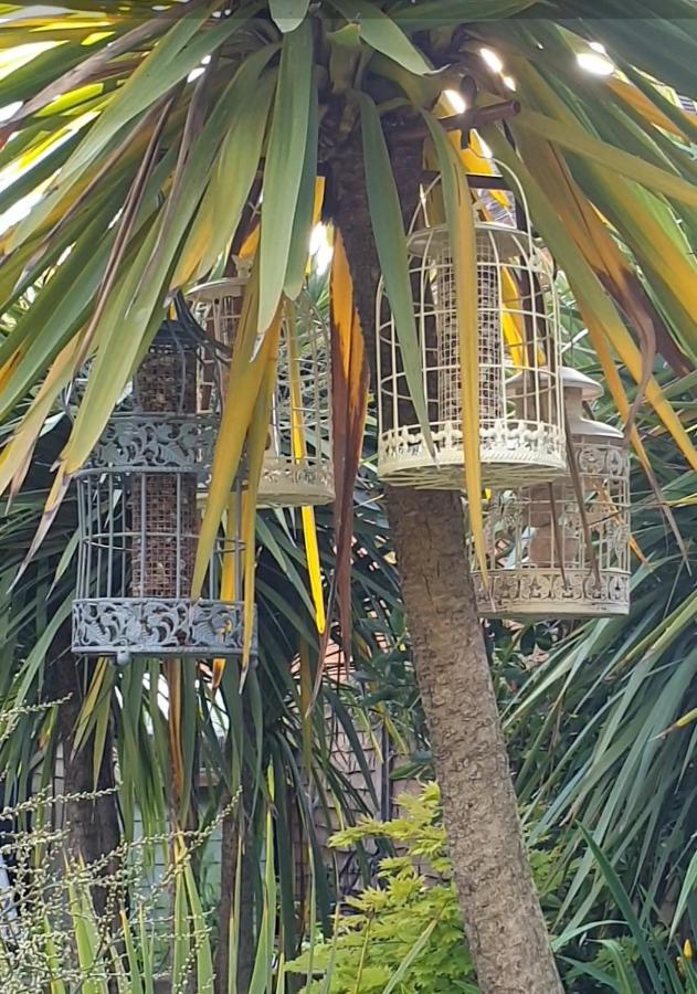 ברמינגהאם Tropical Garden Oasis Rooms מראה חיצוני תמונה