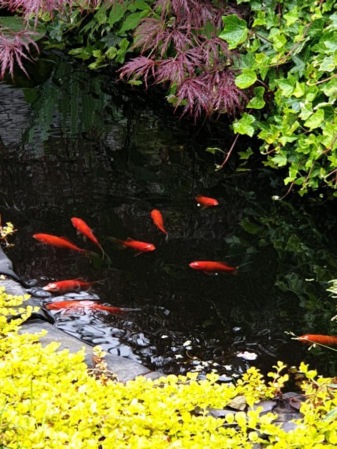ברמינגהאם Tropical Garden Oasis Rooms מראה חיצוני תמונה