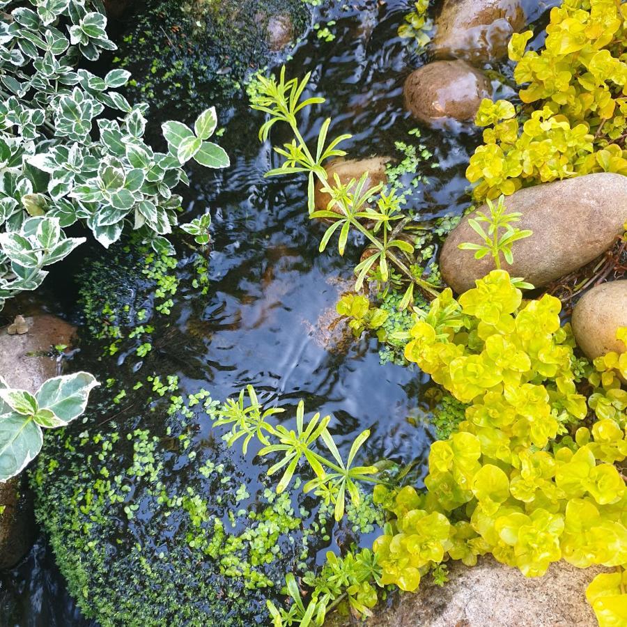 ברמינגהאם Tropical Garden Oasis Rooms מראה חיצוני תמונה