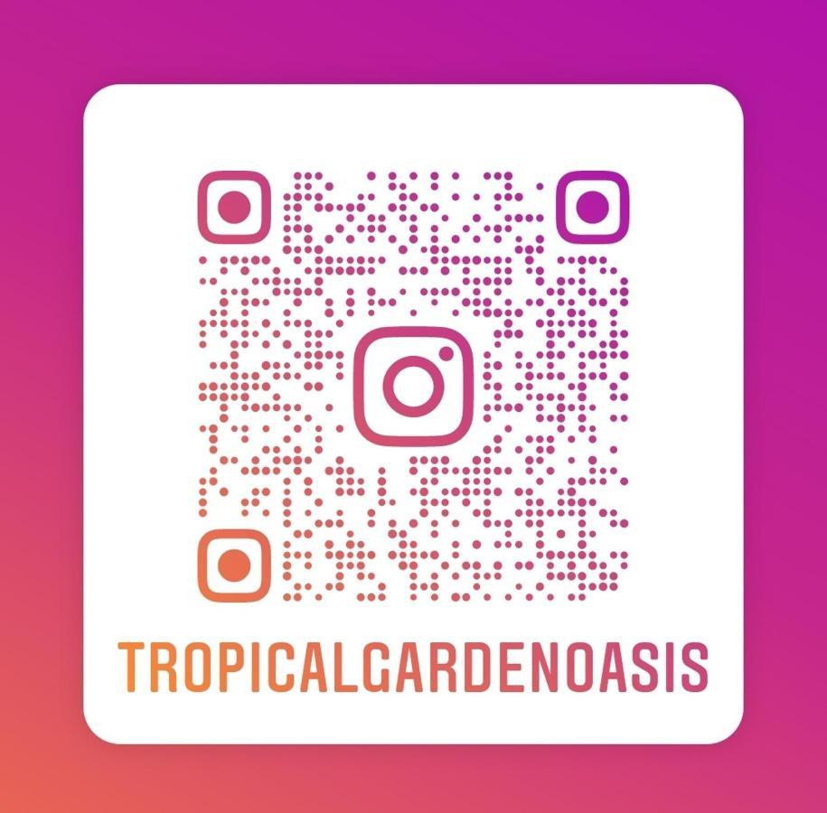 ברמינגהאם Tropical Garden Oasis Rooms מראה חיצוני תמונה