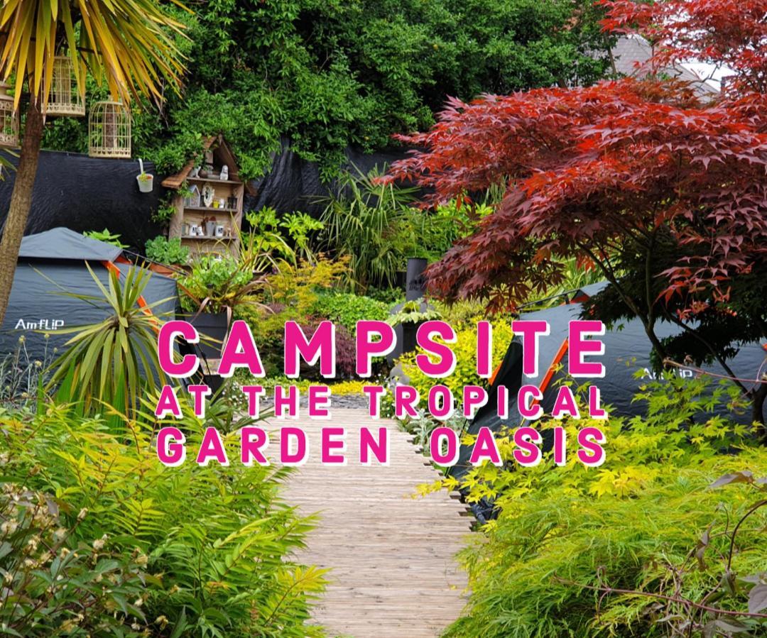 ברמינגהאם Tropical Garden Oasis Rooms חדר תמונה